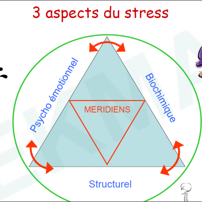 3 aspects du stress kin2sio