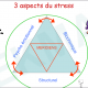 3 aspects du stress kin2sio