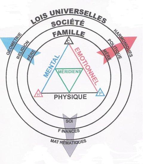 Kinesiologie la triade de la sante