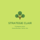 Strat clair vert dif